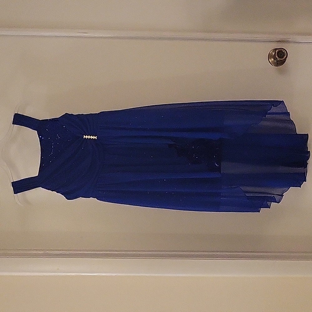 Philly Blue Formal Dress (Sz 10)